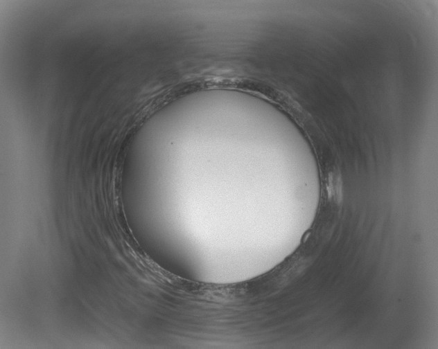 X0000082141396200701190946