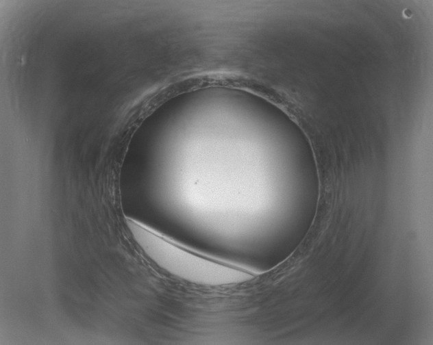 X0000082141398200701190946
