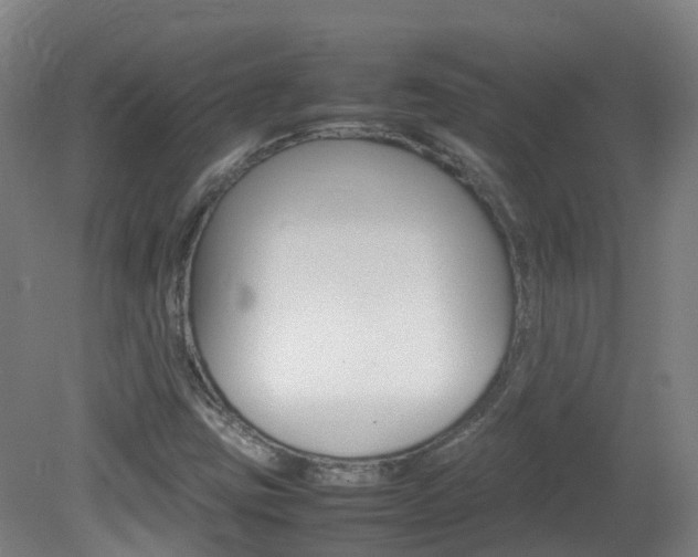 X0000082141403200701190946