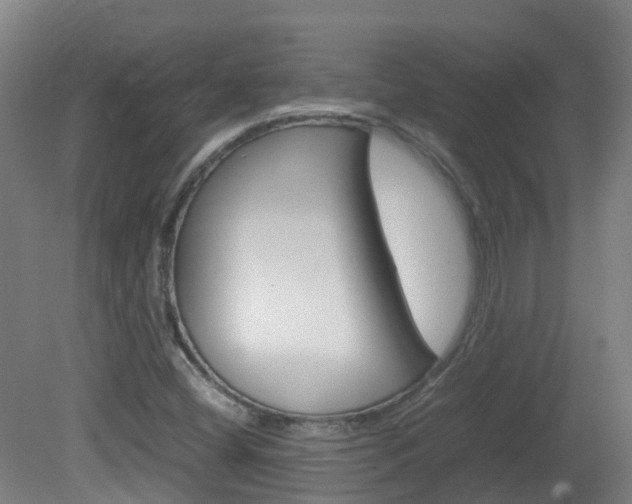 X0000082141404200701190946