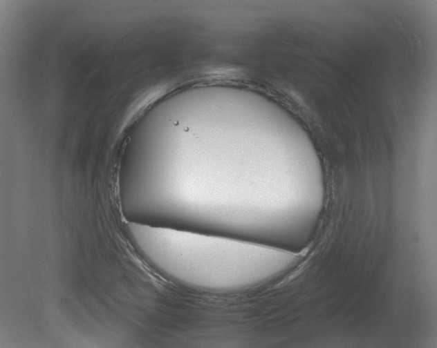 X0000082141405200701190946