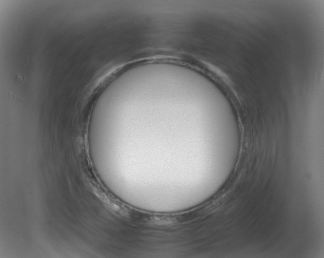 X0000082141407200701190946