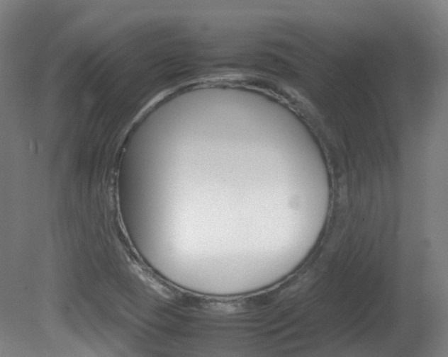 X0000082141409200701190946