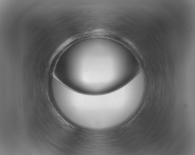X0000082141410200701190946