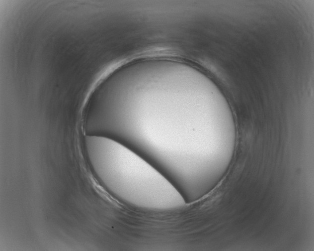 X0000082141413200701190946