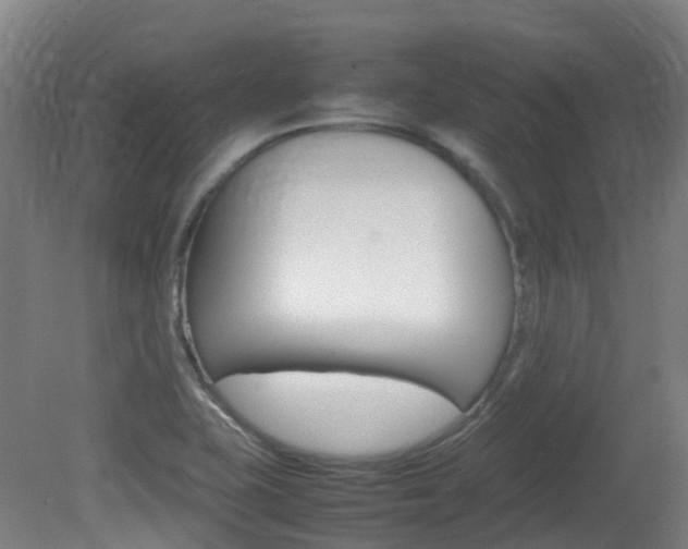 X0000082141415200701190946
