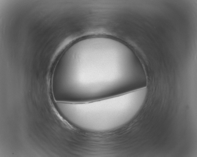 X0000082141416200701190946