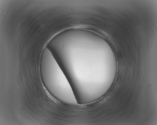 X0000082141417200701190946