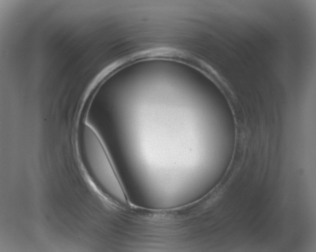 X0000082141418200701190946