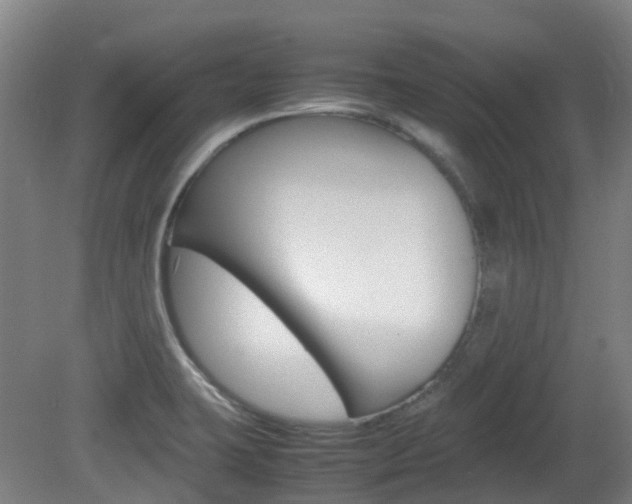 X0000082141423200701190946