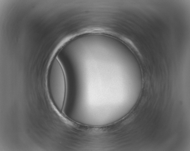 X0000082141424200701190946