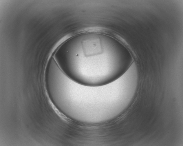 X0000082141426200701190946