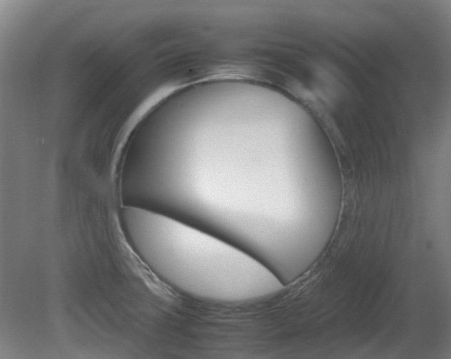 X0000082141427200701190946