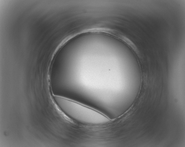 X0000082141428200701190946