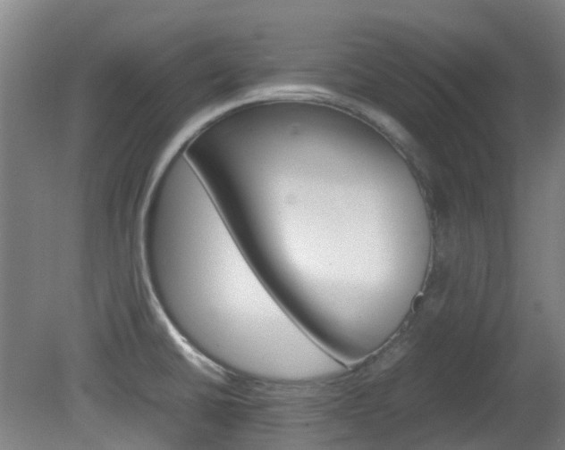 X0000082141430200701190946
