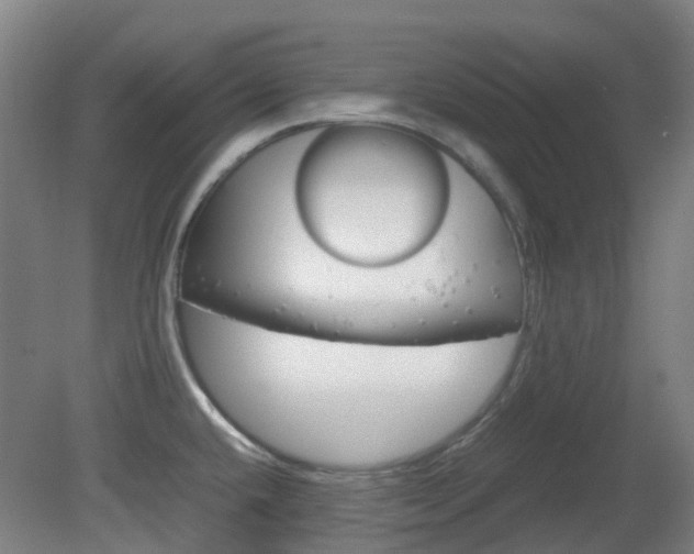 X0000082141432200701190946