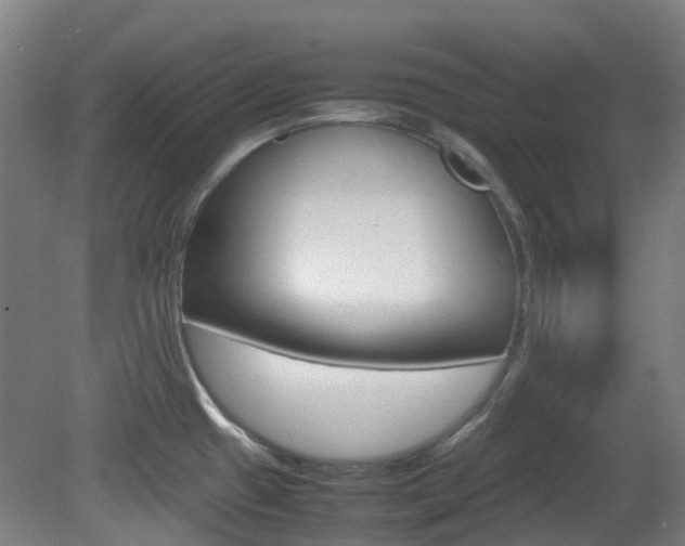 X0000082141433200701190946