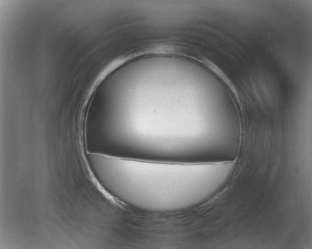 X0000082141437200701190946