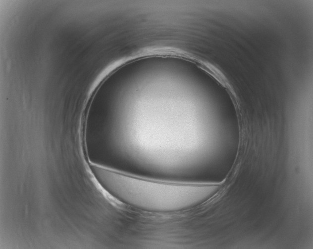 X0000082141438200701190946