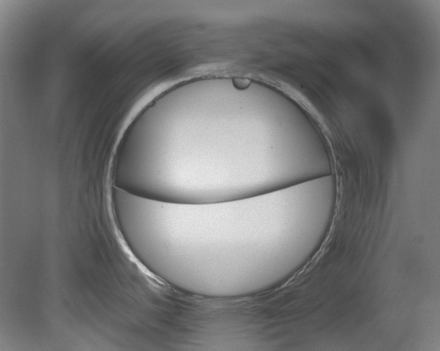 X0000082141440200701190946