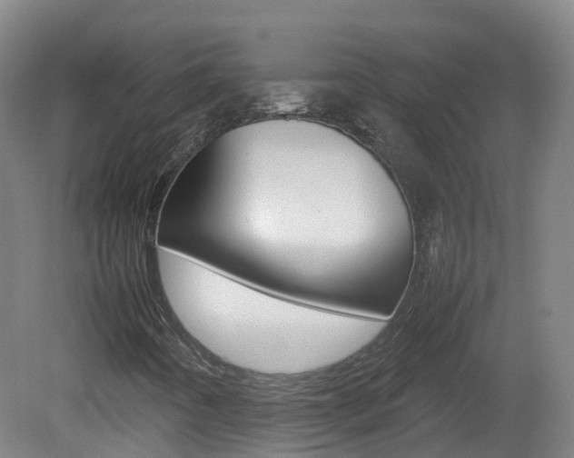 X0000082141442200701190945