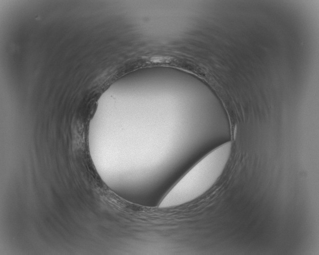 X0000082141443200701190945