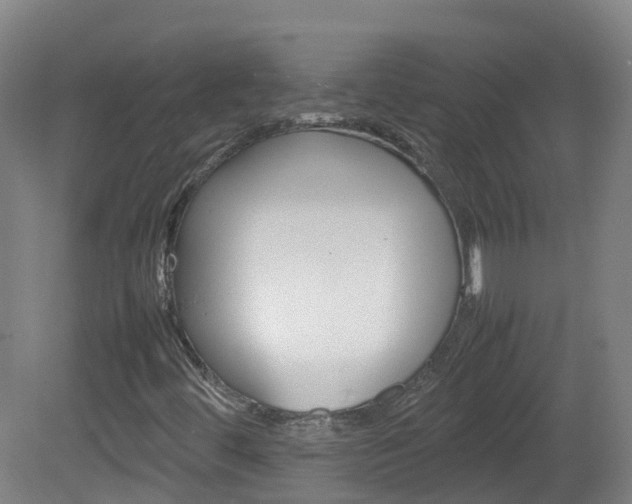 X0000082141444200701190945
