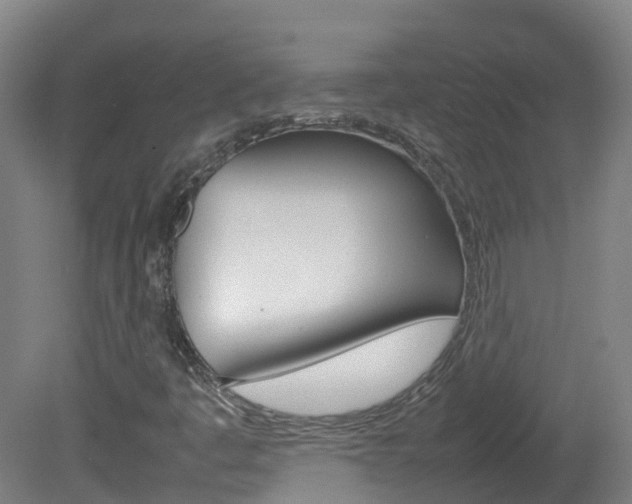 X0000082141445200701190945