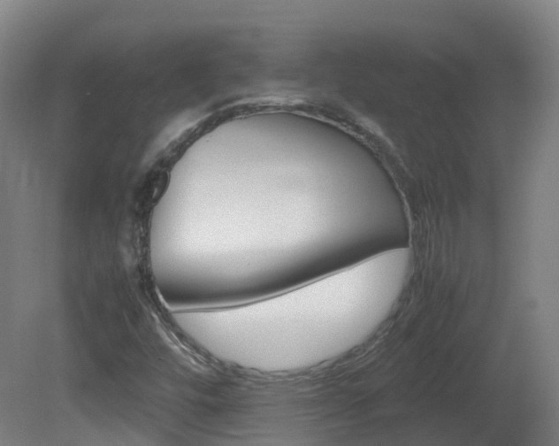 X0000082141448200701190945