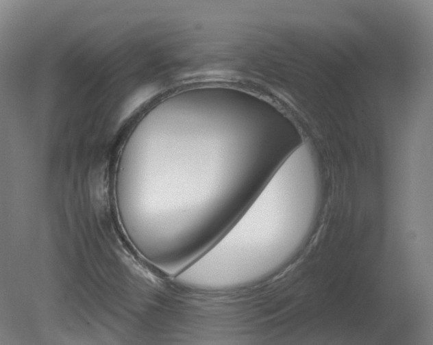 X0000082141450200701190945