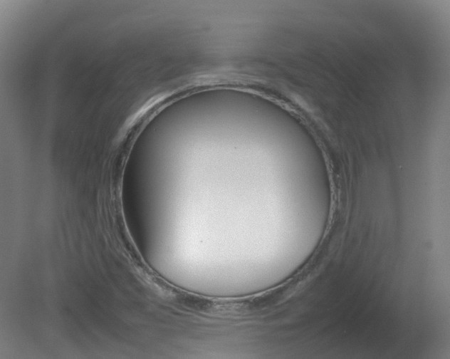 X0000082141453200701190945