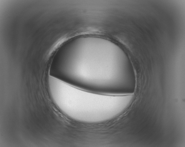 X0000082141455200701190945