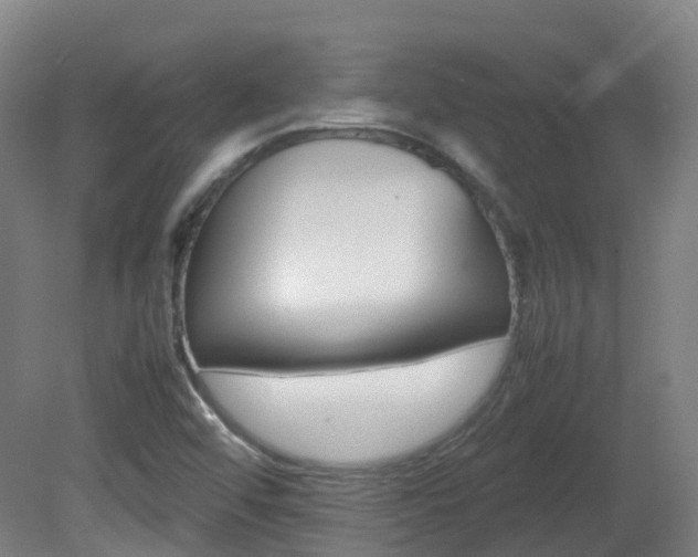 X0000082141456200701190945