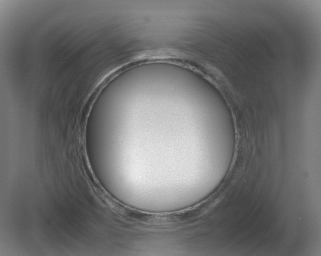 X0000082141457200701190945