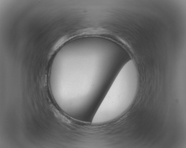 X0000082141459200701190945
