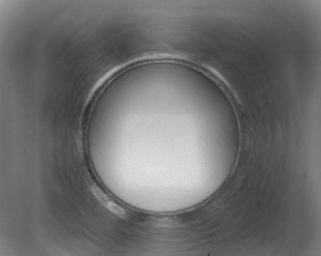 X0000082141460200701190945
