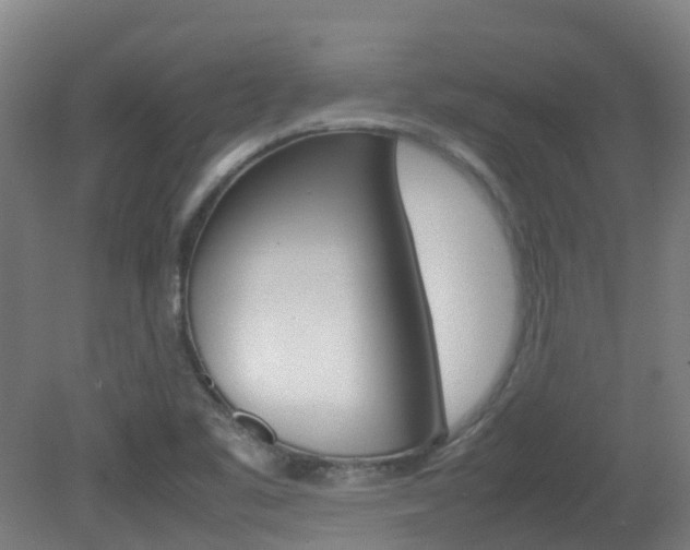 X0000082141461200701190945