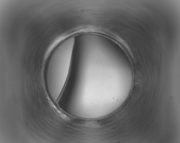 X0000082141464200701190945