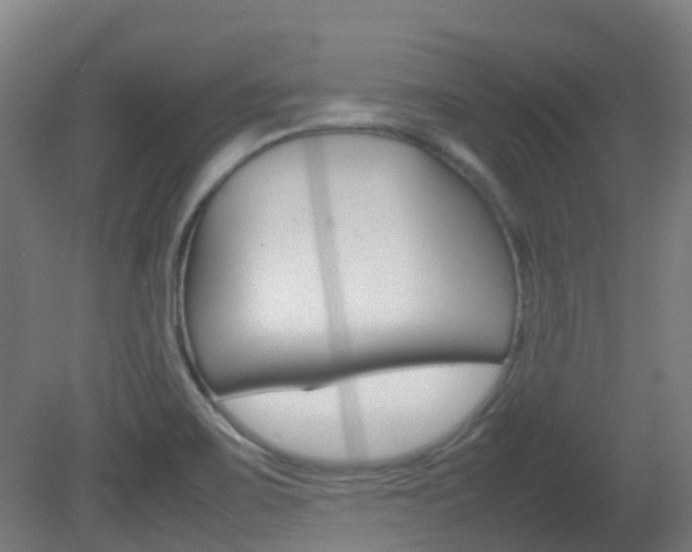 X0000082141467200701190945