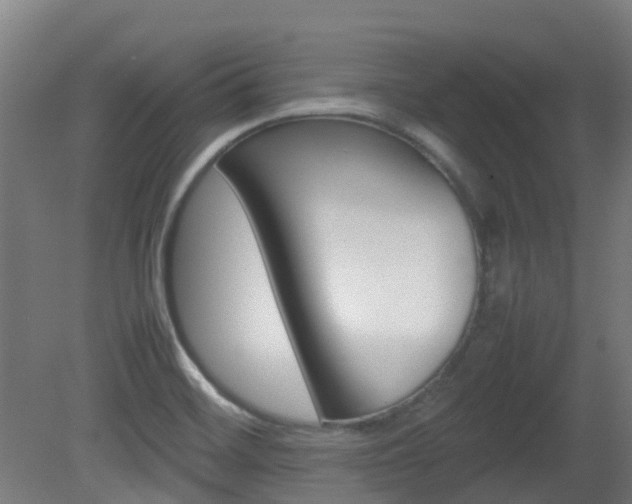 X0000082141468200701190945