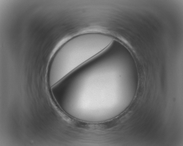 X0000082141469200701190945