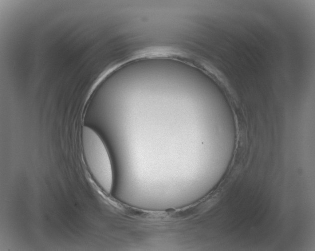 X0000082141473200701190945