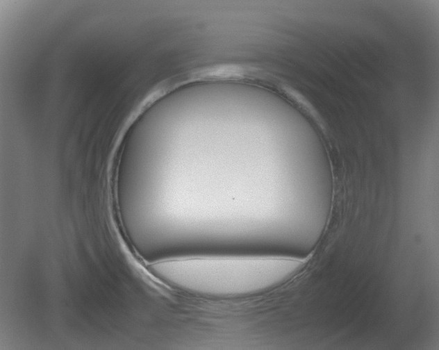 X0000082141475200701190945