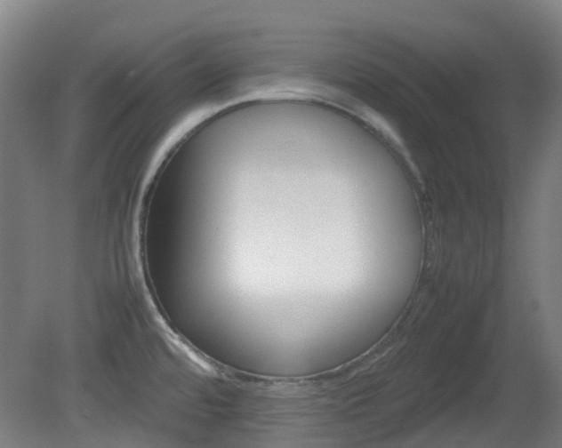 X0000082141480200701190945