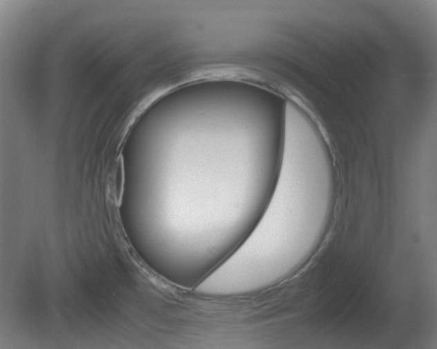 X0000082141481200701190945