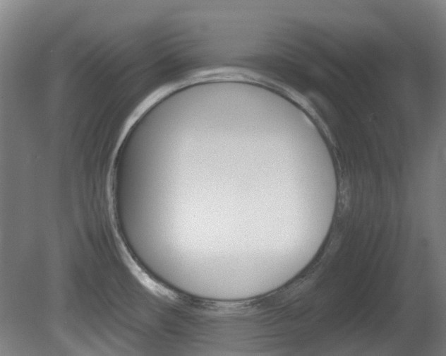 X0000082141482200701190945