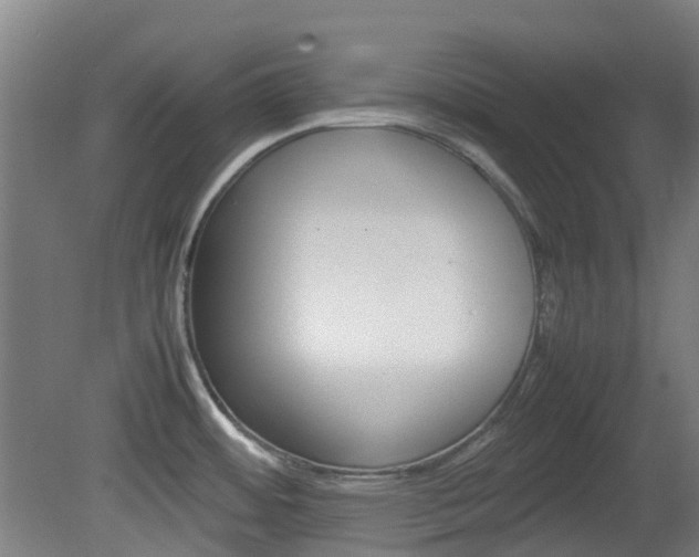X0000082141484200701190945