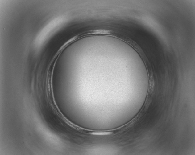 X0000082141487200701190945