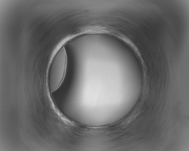 X0000082141488200701190945