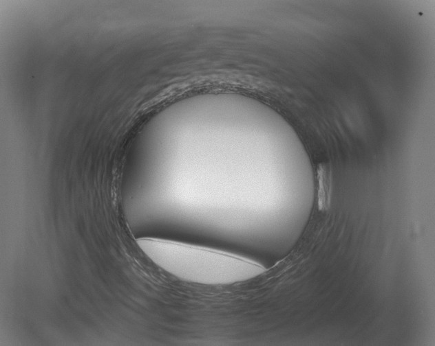 X0000082141491200701190944